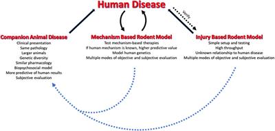 Editorial: Verification of Animal Pain Models by Reverse Translation